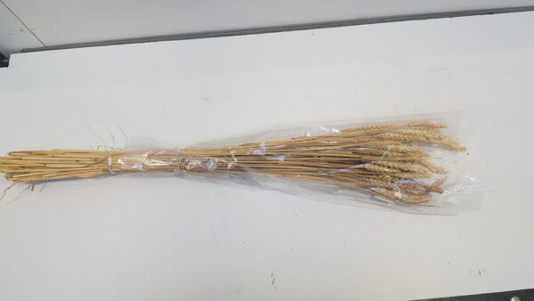 bunch triticum