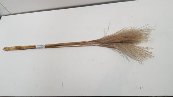 bundle silver grass 10pc l75.0