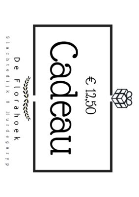 Cadeaubon 12,50 euro