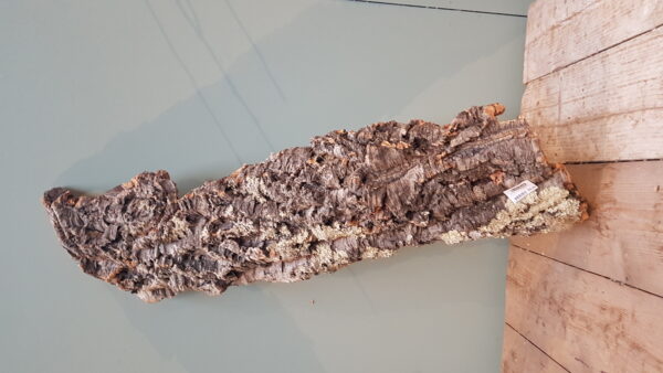 cork flat big 75-120cmnatural