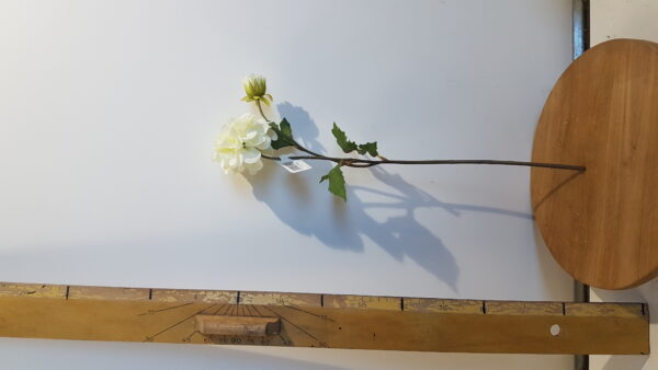 dahlia l50cm creme