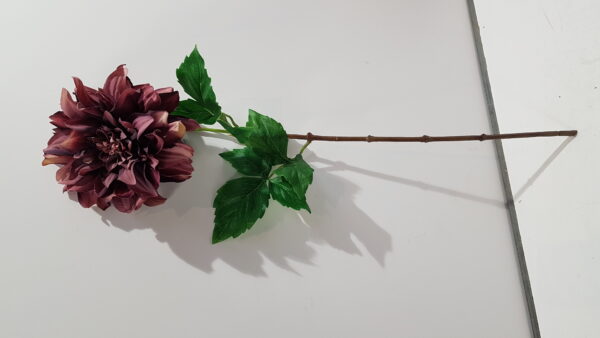dahlia l62cm dk mauve