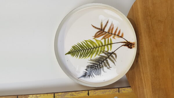 delta plate decor fern