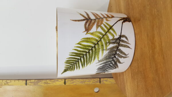 delta pot decor fern
