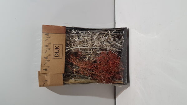 dried flowers mix tray 38x26x5cmblue/white