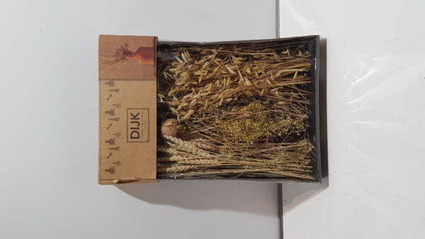 dried flowers mix tray 38x26x5cmnatural