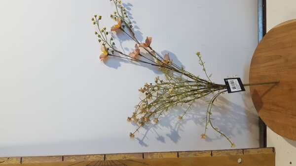 dried-look klaproos bruin – l53xd7cm