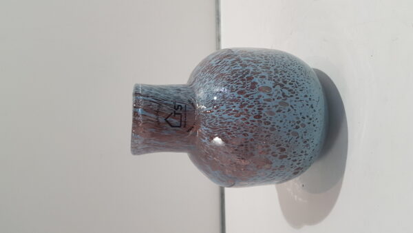 Fles Liz cil purple rain D12 H16