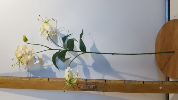 gloriosa l80cm creme/roze