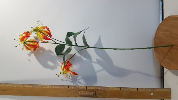gloriosa l80cm oranje/geel