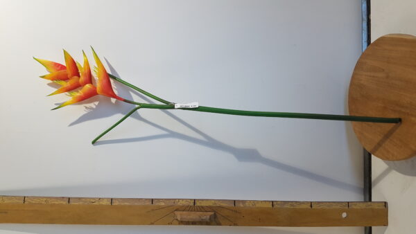 heliconia l85cm oranje