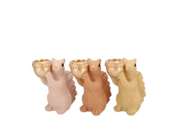 jingle warm sand mix squirrel standing a