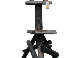 leeuwerik zwart riet