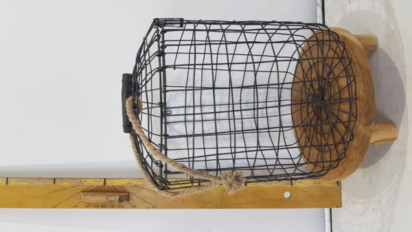 mand gesloten ro lorenz l bruin