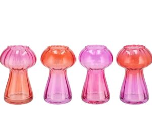 nova fuchsia vase mushroom structure tri