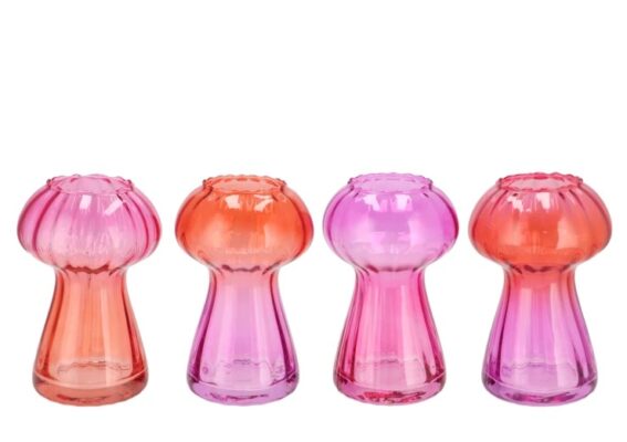 nova fuchsia vase mushroom structure tri