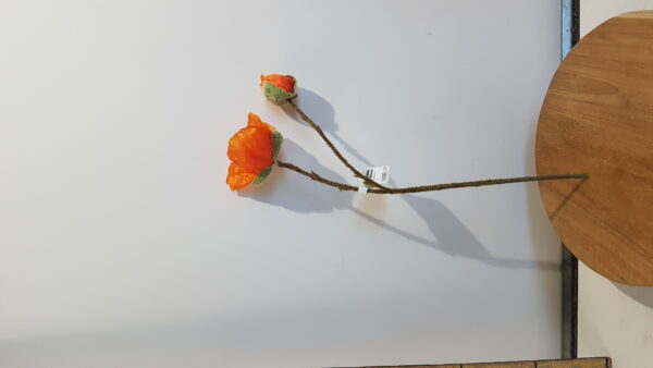papaver l43cm oranje