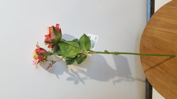 roos x2 l38cm zalm