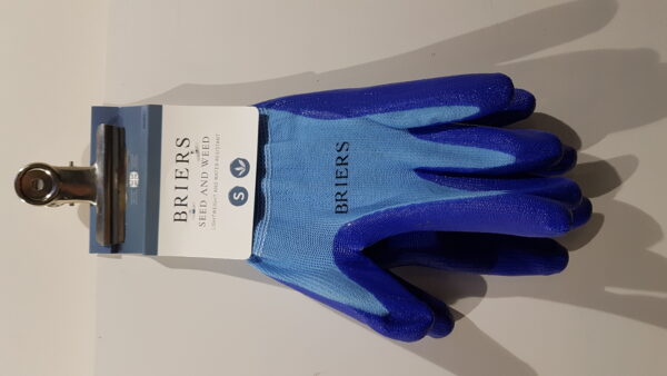 sd & wd handsch blue s