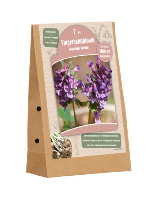 stinzen – corydalis solida 7st