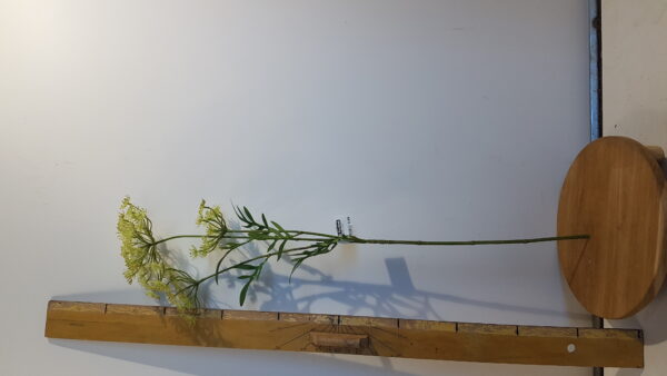 Wildwortel l80cm groen