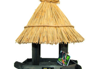 woestijnvink groot zwart