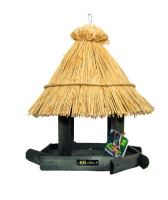 woestijnvink groot zwart