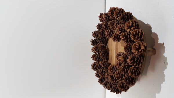 wr. pinecone d38.0h6.0naturel