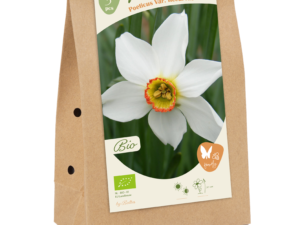 bio - narcis poeticus v rec. 5st