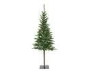 alpbach fir d60h150cm groen