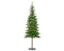 alpbach fir d70h180cm groen