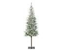 alpbach fir d75h210cm groen/wit