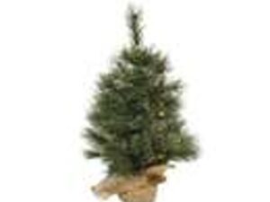 cashmere mini boom cashmeredia40-h60c