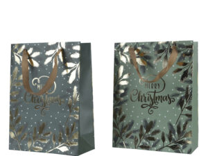 giftbag papier met handvat 2kl.assl8-w18