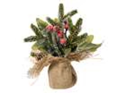 mini boom binnen dia10-h20cm – groen/wit