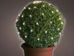 netverl. buxus led d80cm-120l w.wit