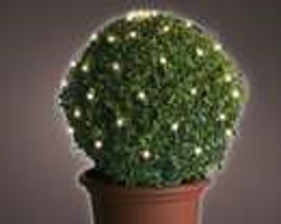 netverl. buxus led d80cm-120l w.wit