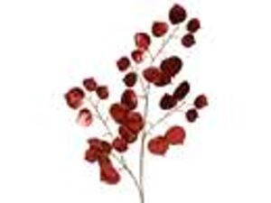 spray plc l36b3h94cm rood