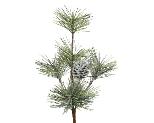 spray snowy pinecones binnen