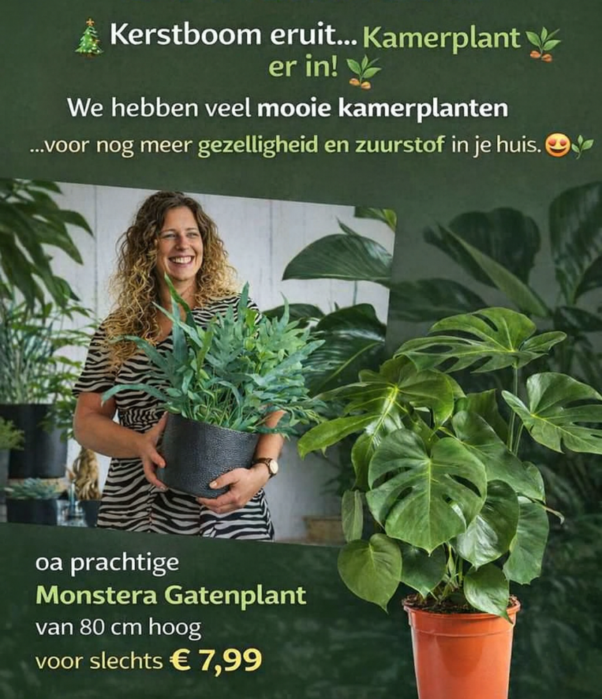 Wij wensen iedereen een goede jaarwisseling! We staan vanaf 2 Januari 9 uur weer voor u klaar met o.a. heel veel mooie kamerplanten.