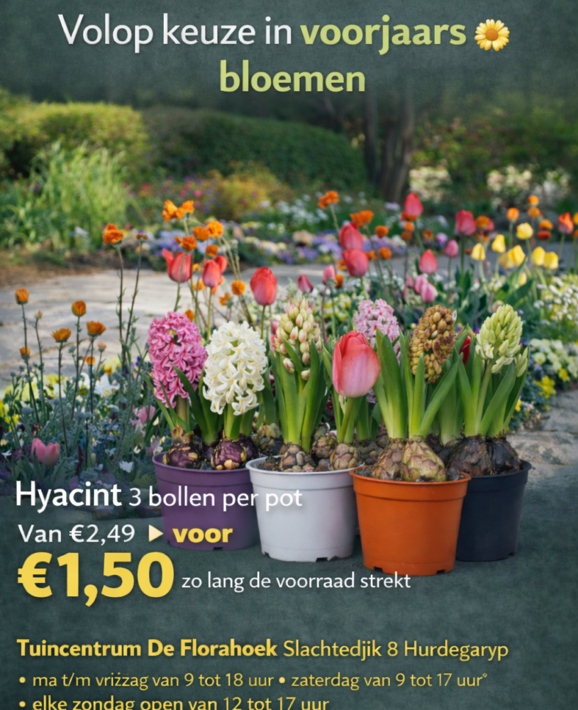 Welkom bij tuincentrum De Florahoek