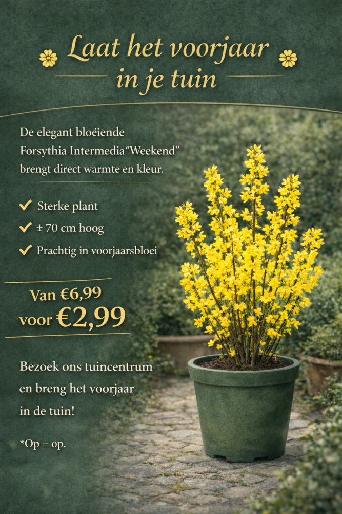 Welkom bij tuincentrum De Florahoek