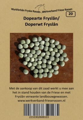 dopearte fryslân