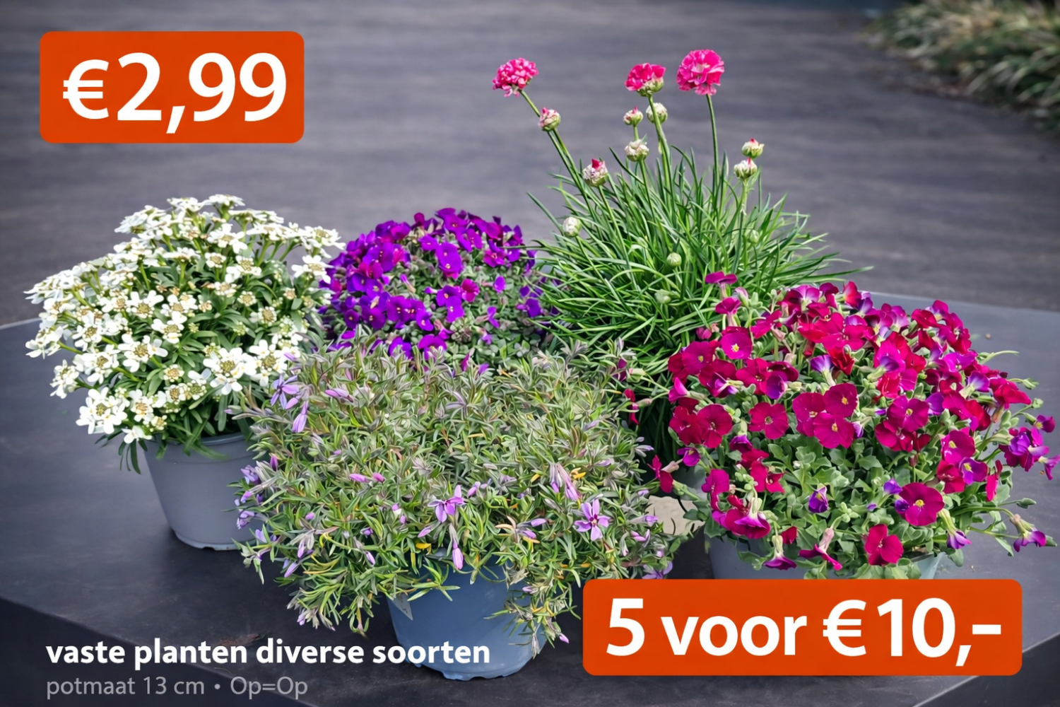 Welkom bij tuincentrum De Florahoek