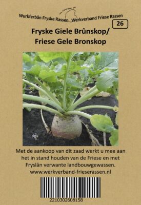 fryske giele brûnskop