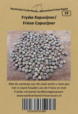 fryske kapusijner
