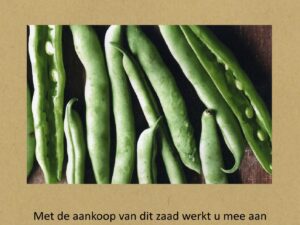 Koudumer Beantsje frysk beantsje