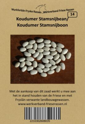 koudumer stamsnijbean