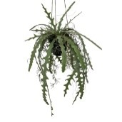 plant hanging fern artificial 45x45x110c