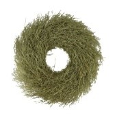 wreath chili grass in poly wrap nature